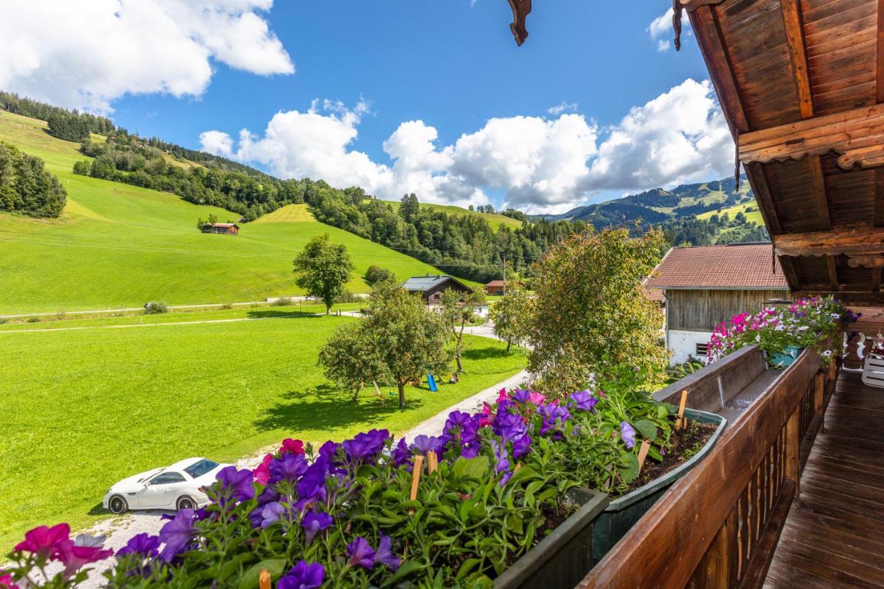 Biobauernhof Stegerbauer Διαμέρισμα Maria Alm am Steinernen Meer Εξωτερικό φωτογραφία
