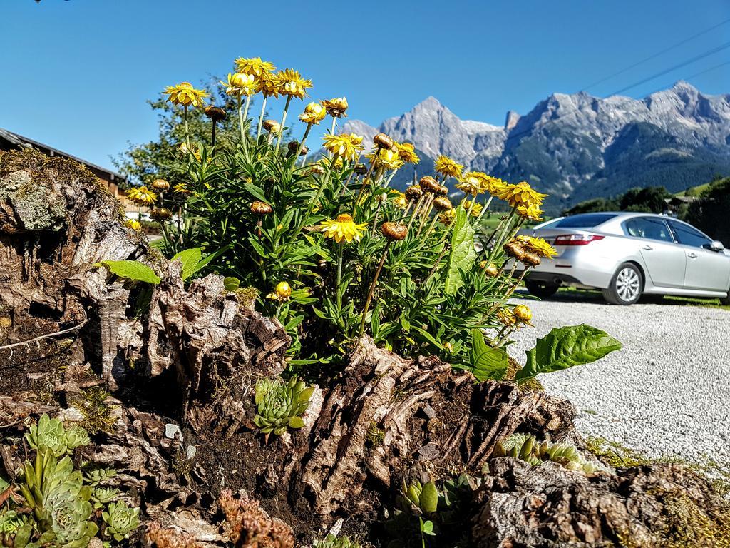 Biobauernhof Stegerbauer Διαμέρισμα Maria Alm am Steinernen Meer Εξωτερικό φωτογραφία
