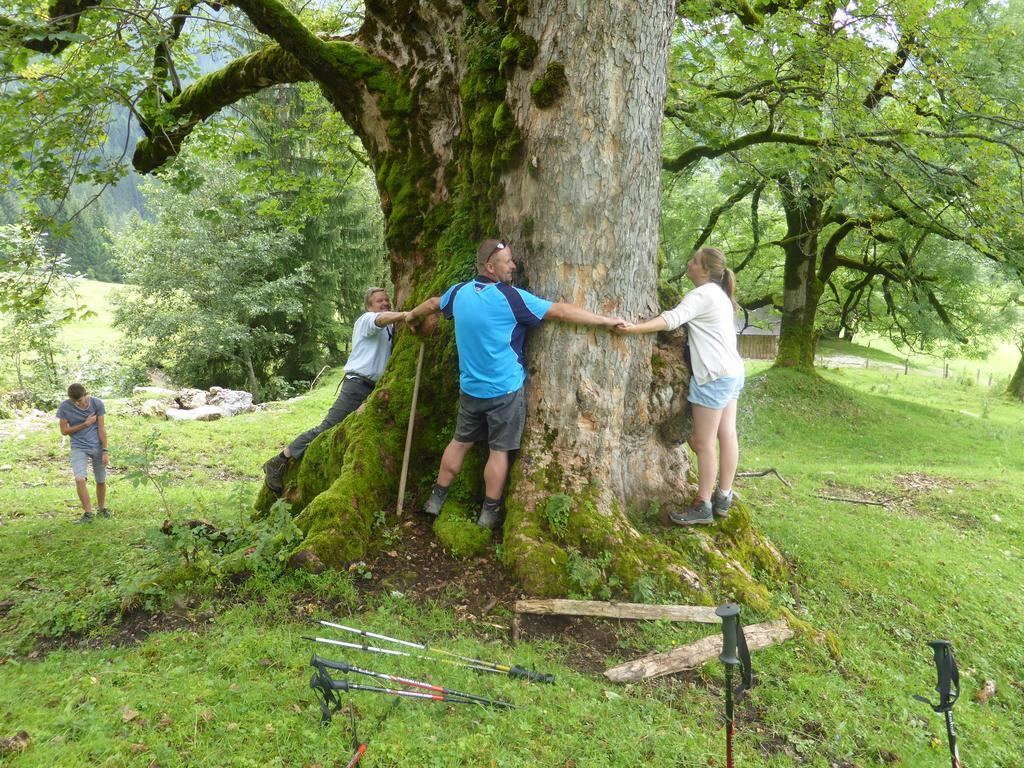 Biobauernhof Stegerbauer Διαμέρισμα Maria Alm am Steinernen Meer Εξωτερικό φωτογραφία