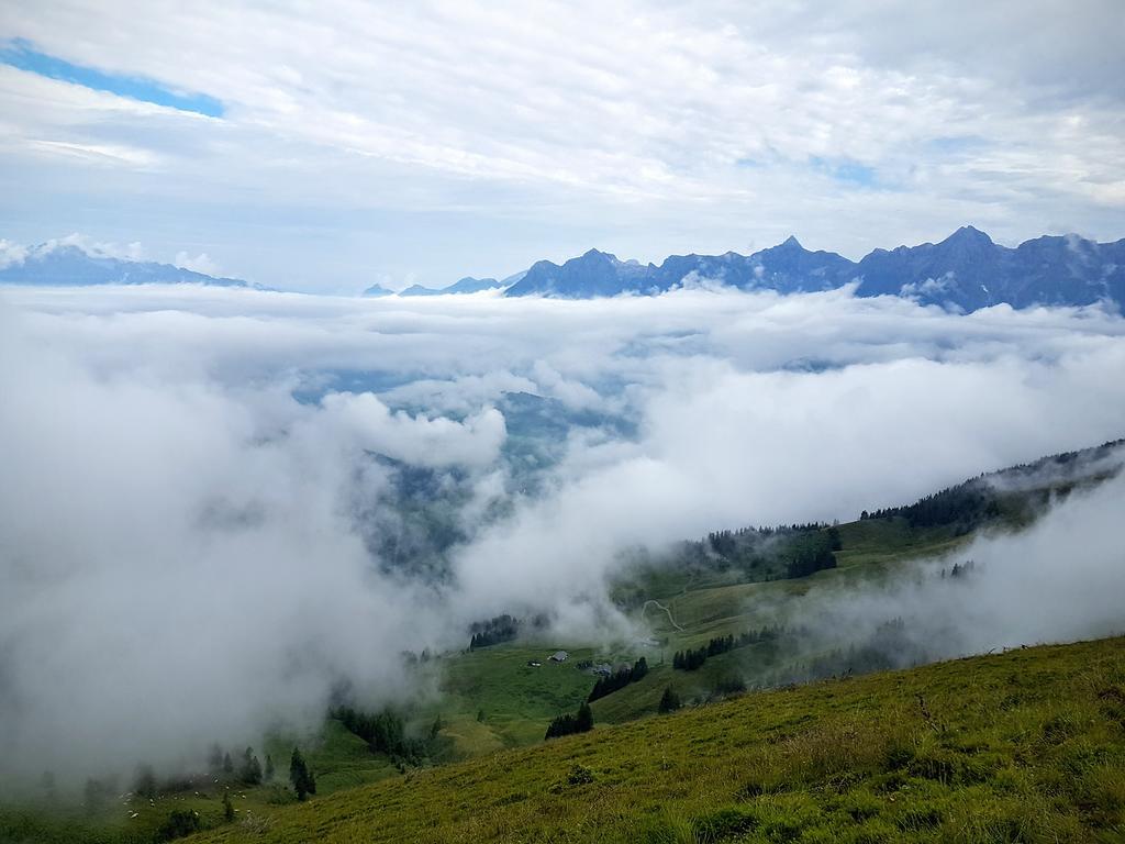 Biobauernhof Stegerbauer Διαμέρισμα Maria Alm am Steinernen Meer Εξωτερικό φωτογραφία