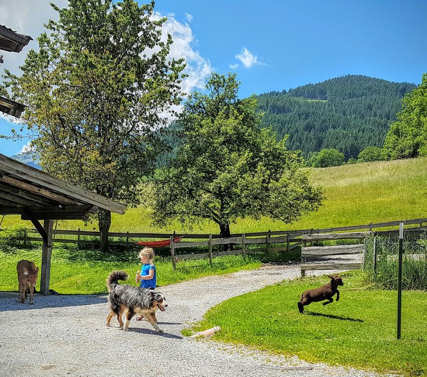 Biobauernhof Stegerbauer Διαμέρισμα Maria Alm am Steinernen Meer Εξωτερικό φωτογραφία