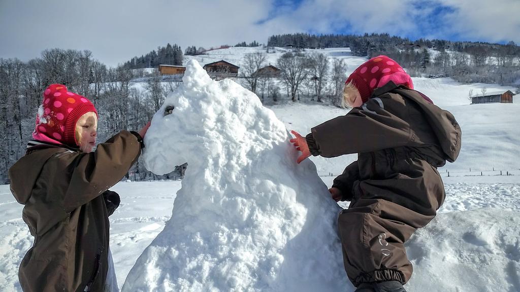 Biobauernhof Stegerbauer Διαμέρισμα Maria Alm am Steinernen Meer Εξωτερικό φωτογραφία